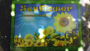 Отель Sunflower Accommodation  Любляна